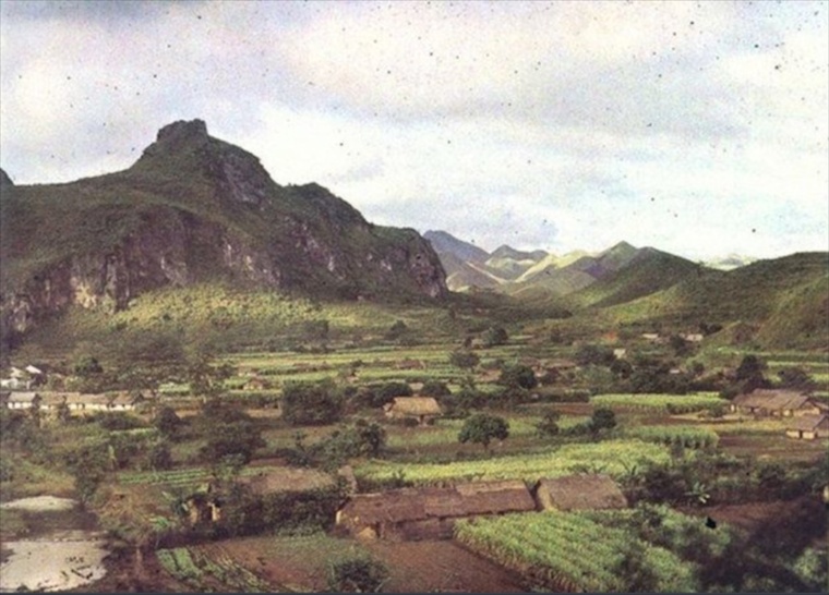 scan 002.jpg