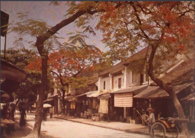 scan 001.jpg