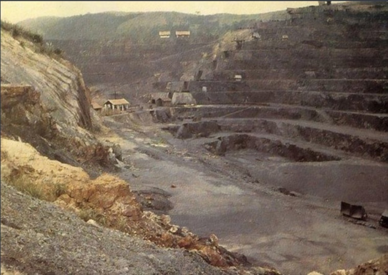 scan 010.jpg